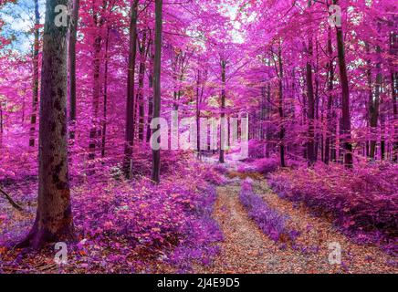 Beautiful pink and purple infrared panorama of a forest Stock Photo