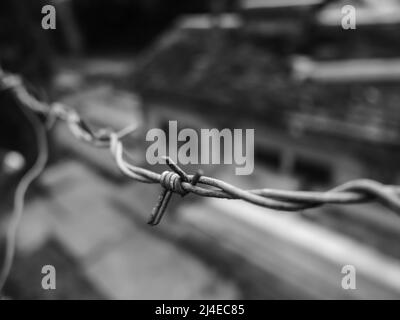 Detail of barbed wire fence and blurred building in the background Stock Photo
