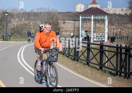 Minsk, Belarus - March 23, 2014: A man on a bicycle carries a cat on his shoulder on a bike path Stock Photo