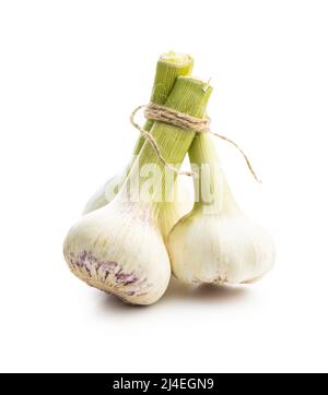 Whole garlic bulb. Fresh white garlic isolated on a white background. Stock Photo