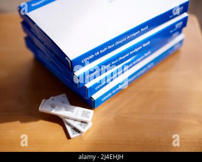 Covid lateral Flow tests kits Stock Photo