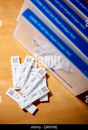 Covid lateral Flow tests kits Stock Photo