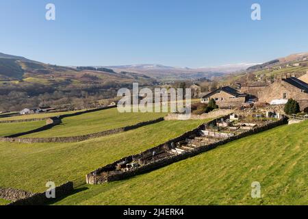 Allotments in the village of Gunnerside, Swaledale, Yorkshire Dales National Park. Iconic dry stone walls and stone barns dot the landscape below the Stock Photo