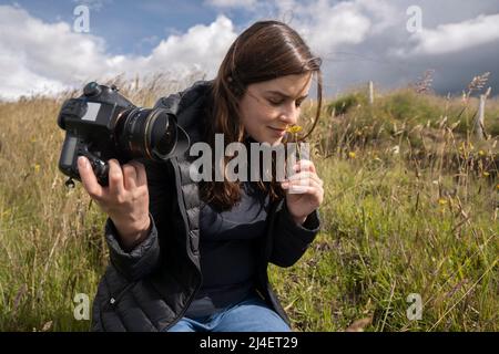 Beautiful Hispanic woman photographer with her camera in her hand kneeling sniffing a yellow flower in the middle of the field on a sunny day Stock Photo