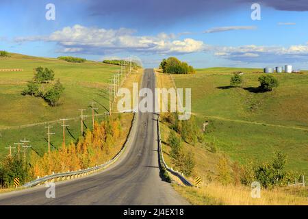 A country road with rows of wood utility poles in Alberta, Canada. A utility pole, alternately referred to as a power pole, telephone pole, telegraph Stock Photo