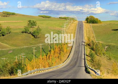 A country road with rows of wood utility poles in Alberta, Canada. A utility pole, alternately referred to as a power pole, telephone pole, telegraph Stock Photo