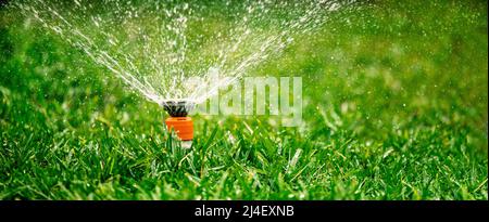 automatic garden lawn sprinkler. watering grass in yard. banner with copy space
