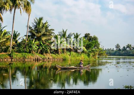 Alleppey, Alappuzha, India A man driving the slick fishing boat in backwaters of Kerala having lush green palm trees in background Stock Photo