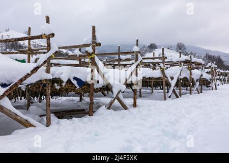 Korean winter dried pollack. The white snow-covered landscape of Hwangtae-deokjang. Stock Photo