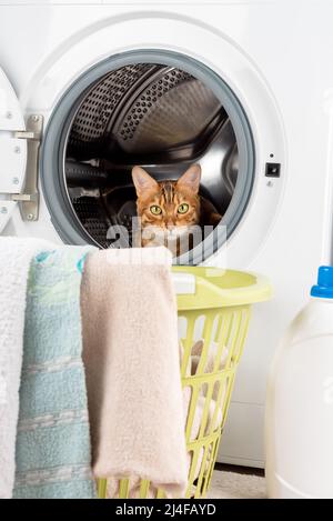 Laundry bucket hi-res stock photography and images - Alamy