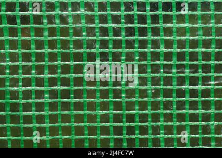 Close up green plastic cover of a greenhouse in the sun. April, Netherlands. Stock Photo