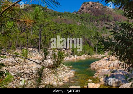 Solenzara River with its wonderful natural pools in the crystal clear water in the southeast of the island of Corsica, France Stock Photo