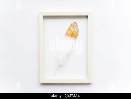 Golden bird feather in a frame on a white background with copy space for text. Minimal concept. View from above. Easter card, soft selective focus. Stock Photo