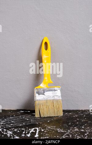 Paint brush for repair and painting on background gray painted wall Stock Photo