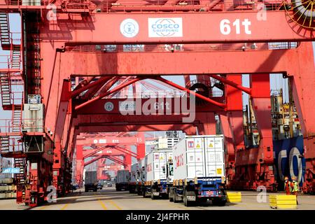 LIANYUNGANG, CHINA - APRIL 15, 2022 - Transport vehicles transfer containers to cargo ships at the Lianyungang Container Terminal in Lianyungang city, Stock Photo