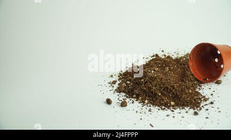 Empty flower pot and soil on a white background. Micro gardening idea isolated. Stock Photo