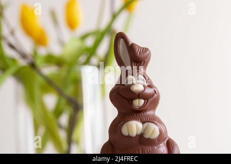 Berlin, Germany. 14th Apr, 2022. A chocolate bunny made of dark and light chocolate lies on a table. Credit: Fernando Gutierrez-Juarez/dpa/Alamy Live News Stock Photo