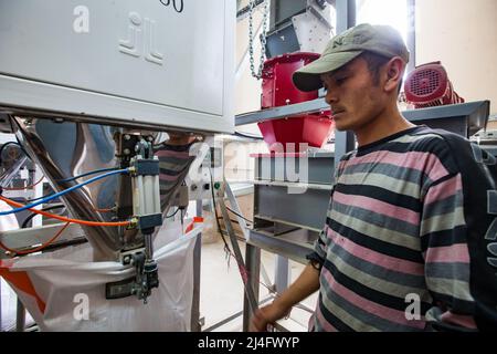 Kyzylorda Province, Kazakhstan - May 01, 2019. Rice packing machine and young Asian worker. Man's face is motion-blurred. Stock Photo