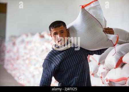 Kyzylorda Province, Kazakhstan - May 01, 2019. Young Asian worker carrying rice bag. Stock Photo