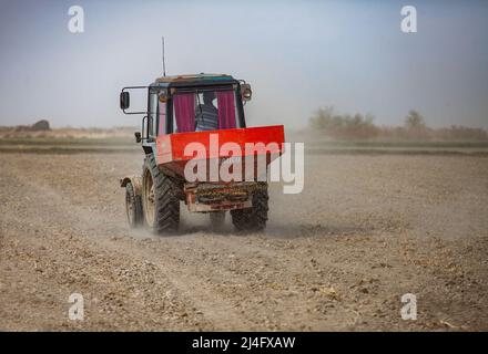 Kyzylorda Province, Kazakhstan - May 01, 2019. Tractor seeds rice in farmer's field. Spring sowing campaign. Stock Photo