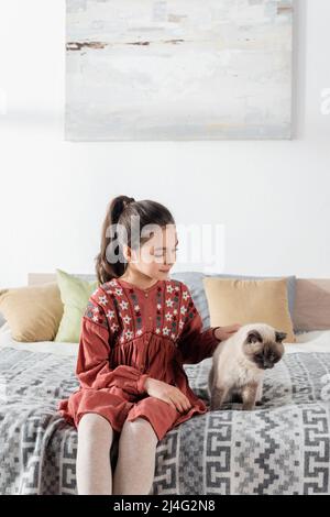 smiling girl sitting on bed with pillows and petting furry cat Stock Photo