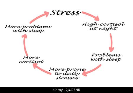 Cycle of sleep disruption and stress Stock Photo - Alamy