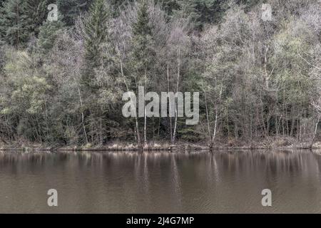 Speech House Lake, Forest of Dean, Gloucestershire. Stock Photo