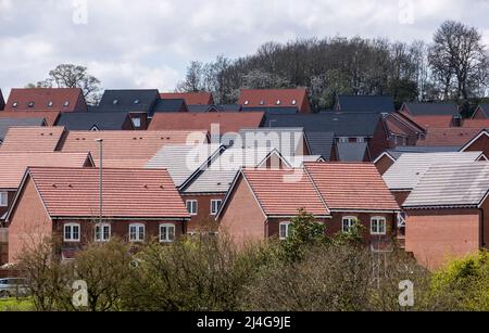 New private build houses on an estate in the Midlands, England. Stock Photo