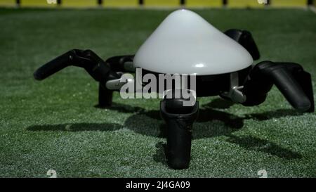Demonstrating movement of spider robot at the exhibition of science and technical art. HDR. Close up of cute robotic spider on green grass. Stock Photo
