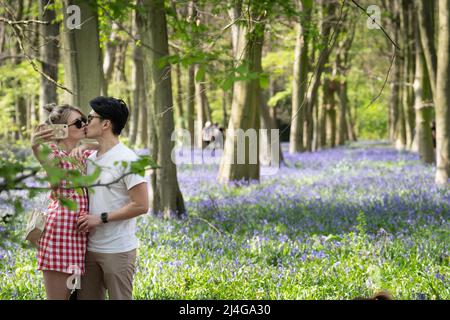 Visitors to Wanstead Park in north east London walk amongst this year's bluebells. Good Friday is set to be the hottest day of the year so far, experts have predicted, ahead of 'very pleasant' spring conditions over the Easter weekend. Picture date: Friday April 15, 2022. Stock Photo