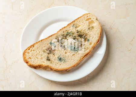 Slice of spoiled bread on a white plate. Various kinds of mold on a one piece of wheat bread. Moldy fungus on rotten bread close-up. Spoiled food. Stock Photo