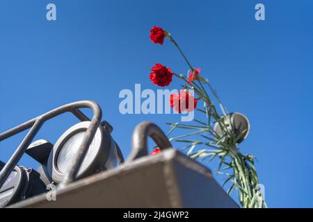 25 of April, celebration of 50 Years, Portugal freedom day. Revolution of the Carnations 1974 Stock Photo