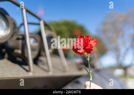 25 of April, celebration of 50 Years, Portugal freedom day. Revolution of the Carnations 1974 Stock Photo