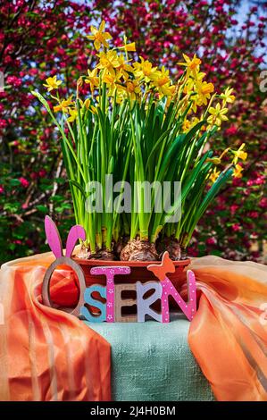 Flowerpot with jonquils and a wooden sign as Easter decoration, the text on the sign is German for Easter. Stock Photo