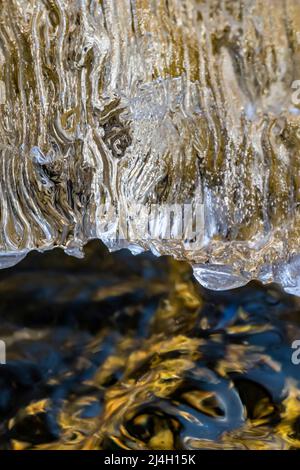 Ice formed on branches above Mitchell Creeks after a freezzing night in April in Clay Cliffs Nature Area in Big Rapids, Michigan, USA Stock Photo