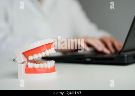 Woman dentist working on laptop in dental office. Jaw samples tooth model. Close up. Stock Photo