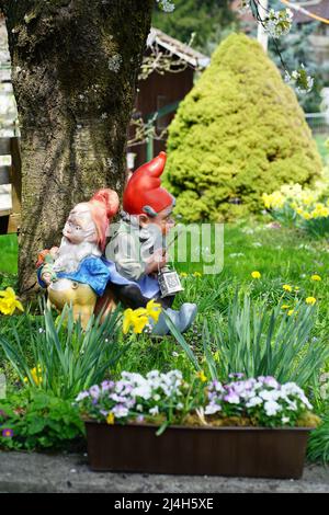 Two gnomes in the garden in spring, Switzerland Stock Photo