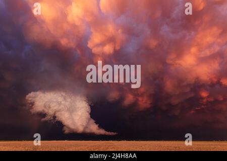 Mammatus clouds behind a storm at sunset near Lubbock, Texas Stock Photo
