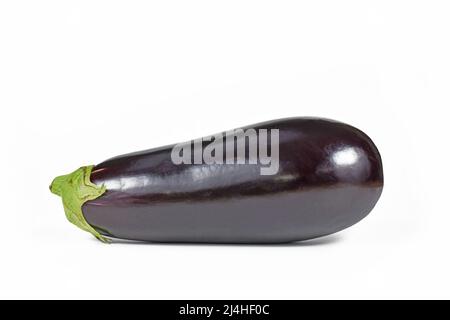 Whole raw eggplant vegetable on white background Stock Photo