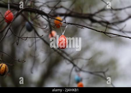April 15, 2022, GÃ¶ttingen, Lower Saxony, Germany: Colorful artificial eggs hung on a tree in GÃ¶ttingen during the Easter festival. (Credit Image: © Tubal Sapkota/Pacific Press via ZUMA Press Wire) Stock Photo