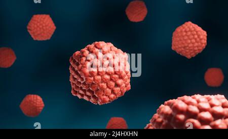 Herpes simplex viruses, illustration Stock Photo