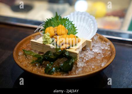Atlantic sea urchin meat in wooden tray serve on ice with fresh wasabi and green shiso leaf. Japanese food Stock Photo