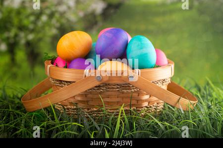 Basket Full of Colorful Solid Boiled Easter Eggs Stock Photo