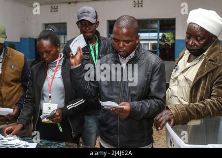 Nakuru, Kenya. 14th Apr, 2022. An election official counts ballots box during United Democratic Party Primaries. United Democratic Alliance (UDA), a political party whose flag bearer is William Ruto, The Deputy President of Kenya, conducted its nationwide primaries on April 14, 2022 in preparation for August general elections. Credit: SOPA Images Limited/Alamy Live News Stock Photo