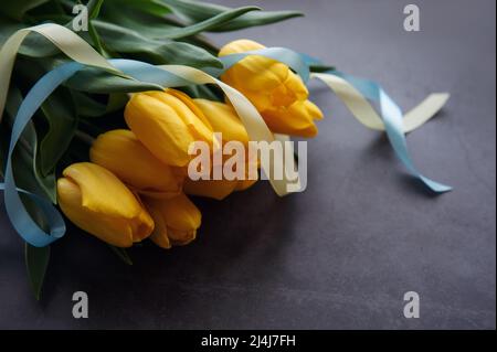 Bouquet of tulips with blue and yellow ribbon on a black background. Stock Photo