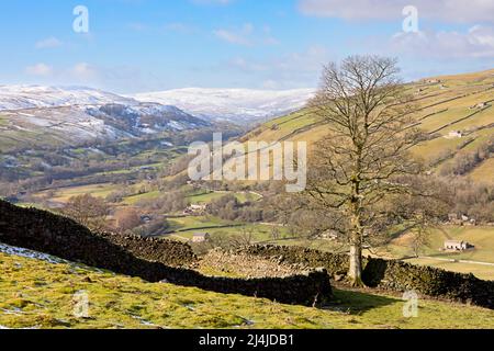 Swaledale, Yorkshire Dales National Park, Snow covered hills above a patchwork of dry stone wall lined fields and pastures with iconic stone barns in