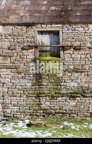 Stone barn in Swaledale, Yorkshire Dales National Park. Window and moss covered wall of an iconic feature of the Yorkshire Dales landscape Stock Photo