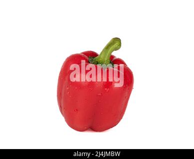 Sweet red pepper with water drops over white background. Copy space. Stock Photo