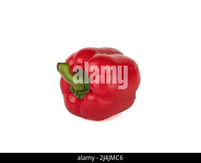 Drops of water on the surface of sweet red pepper. Copy space, white background. Stock Photo