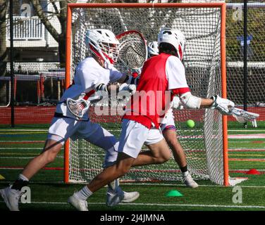 A high school boys lacrosse teams scrimmages each other at practice with a player on the red team scoring using a tennis ball. Stock Photo
